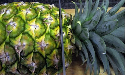 99% số người cắt bỏ ngọn quả dứa... sẽ hối hận khi thấy điều này