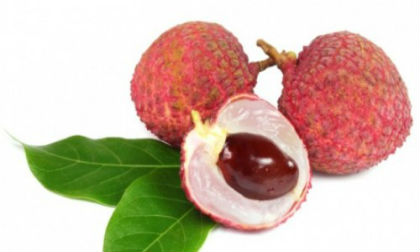 Tuyệt chiêu tự chế mặt nạ làm đẹp từ quả vải