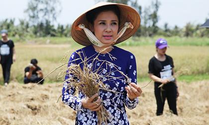 Việt Trinh chia sẻ khó khăn với bà con gặp hạn hán ở miền Tây