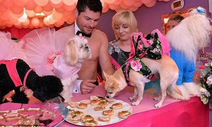 Chi 766 triệu đồng để tổ chức đám cưới cho chó cưng