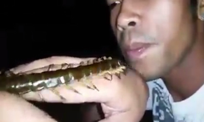 Anh chàng đùa với rết khủng gây xôn xao mạng xã hội