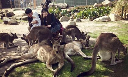 Gia đình Lý Hải - Minh Hà hào hứng khám phá xứ sở chuột túi