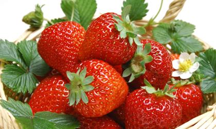 Top 12 loại trái cây, rau củ chứa nhiều thuốc trừ sâu nhất