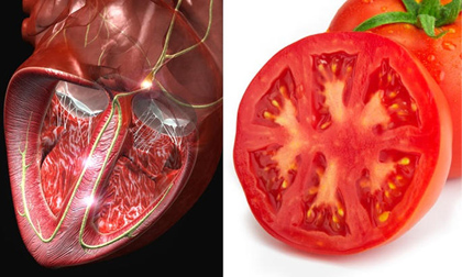 8 loại thực phẩm rất tốt tương ứng với các bộ phận cơ thể 