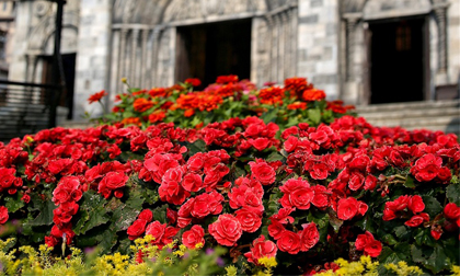 Bà Nà – đỉnh núi hoa thơ mộng