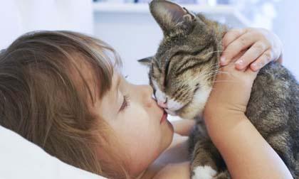 Nuôi mèo trong nhà, bạn sẽ tránh khỏi nhiều căn bệnh đáng sợ