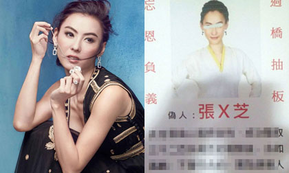 Sở hữu gia tài bạc tỷ, Trương Bá Chi bất ngờ bị đòi nợ