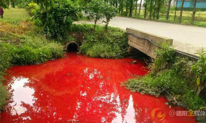 Kinh hoàng nước kênh bị ô nhiễm đỏ như máu