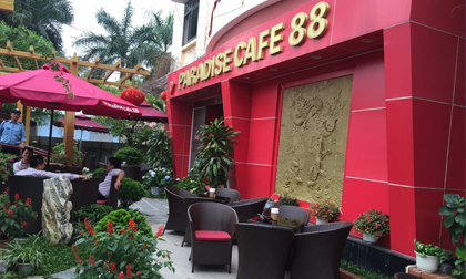 Paradise Café 88 – Café của đam mê