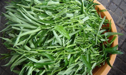 Lý do bạn nên thường xuyên ăn rau muống