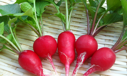 Những thực phẩm giúp lưu thông máu trong chu kỳ kinh nguyệt