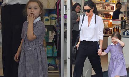 Phản ứng của Harper khi bị chụp ảnh trên phố