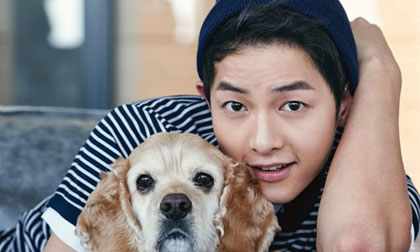 Nam chính 'Hậu duệ mặt trời' khiến fans tan chảy với nụ cười kẹo ngọt