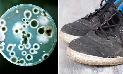 Bạn sẽ ngừng đi giày sau khi biết những sự thật khủng khiếp này