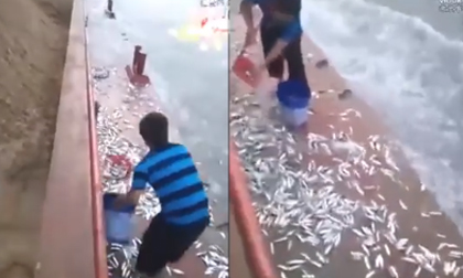 Còn cách bắt cá nào dễ hơn thế này không?