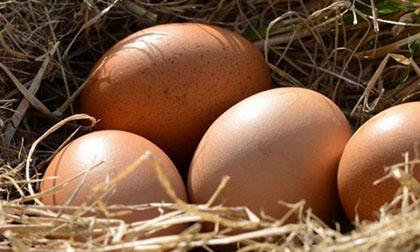 Ăn một quả trứng vào bữa sáng bạn sẽ thấy 'khỏe từ đầu tới chân'