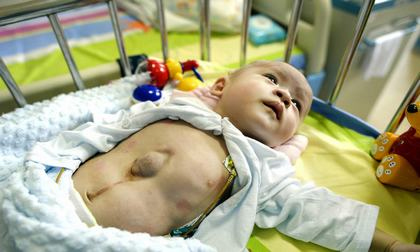 22 bức ảnh hot nhất tuần qua