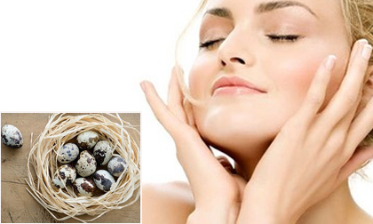 Làm đẹp từ trứng chim cút