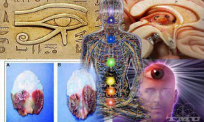 Bí ẩn về 'con mắt thứ 3' của con người