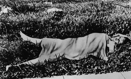 Cái chết 'Thược dược đen': Kỳ án rùng rợn chưa có lời giải đáp