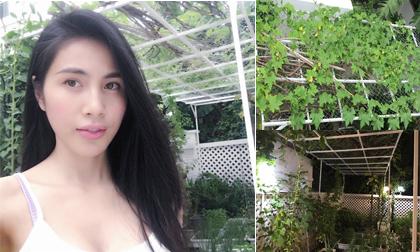 Nếu không là ca sĩ, Thủy Tiên sẽ trở thành 'nông dân' đích thực