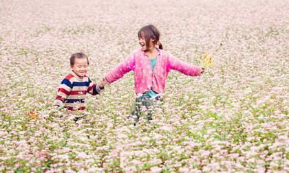 Lễ hội hoa tam giác mạch lần 2 ở Hà Giang năm 2016