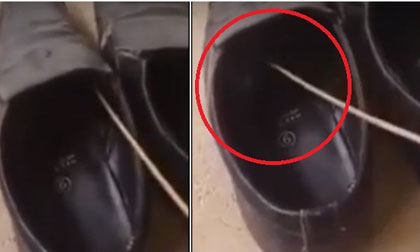 Clip cảnh báo mọi người trước khi xỏ giầy