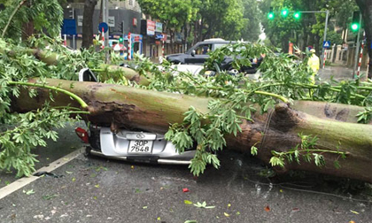 Hà Nội: Cây đổ ngổn ngang, đè bẹp nhiều ô tô vì bão số 1