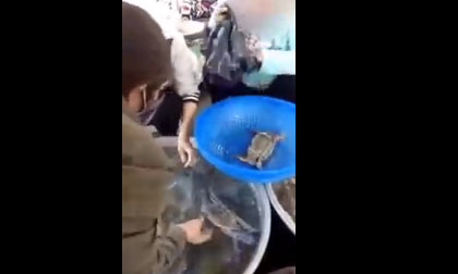 Dàn cảnh tinh vi đánh tráo túi ghẹ, lừa khách ở Nha Trang