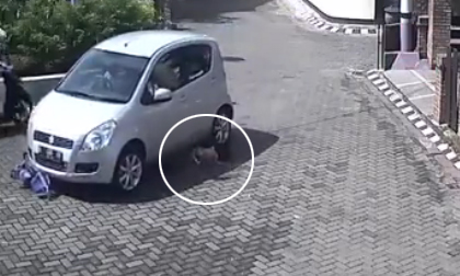 Bé gái sống sót thần kỳ sau khi bị ô tô cán qua người