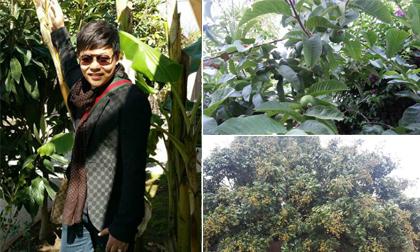 Khu vườn rợp bóng trái cây Việt của ca sĩ Quang Lê ở Mỹ 