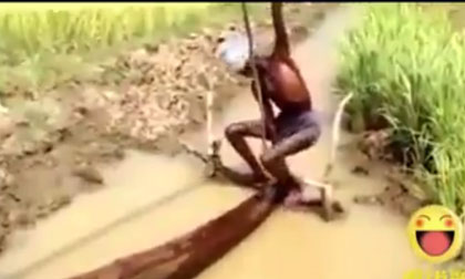 Học cách tát nước cho lúa từ 'sáng chế' của người nông dân Ấn Độ