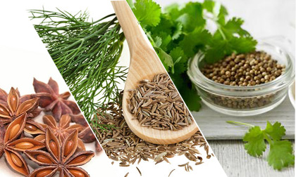 Dấu hiệu đường ruột bất ổn và cách bảo vệ kịp thời