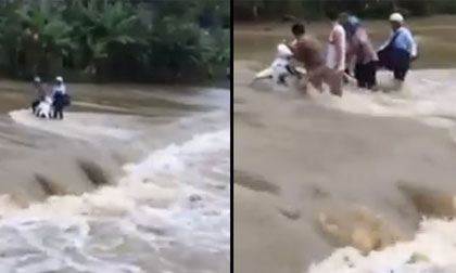 Yên Bái: Thanh niên liều mình đi qua dòng lũ cuốn