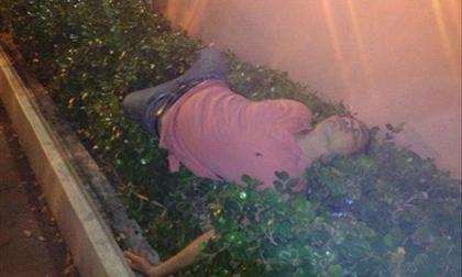 Khi các bợm rượu 'đâu đâu cũng là nhà, ngã đâu cũng là giường'