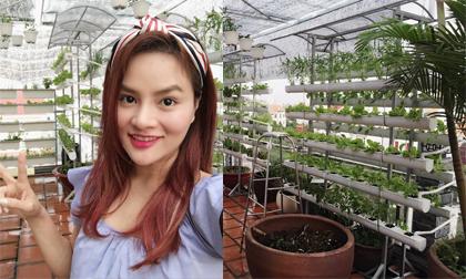 Vườn rau sạch nhìn là mê của nhà Vũ Thu Phương 