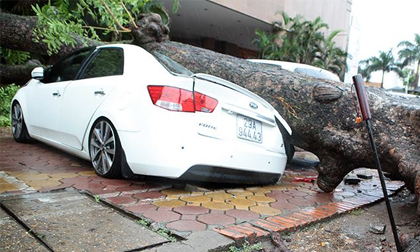 Bão quật đổ cây, đè bẹp rúm ô tô trên phố Hà Nội