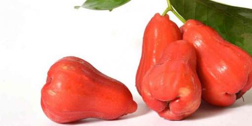 12 lợi ích của quả roi với sức khỏe và sắc đẹp