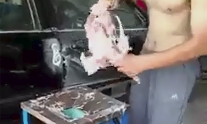 Clip chế biến thịt gia cầm ghê rợn khiến người xem rùng mình