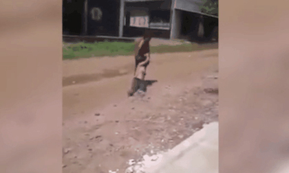 Phẫn nộ: Mẹ túm tóc, kéo lê con gái tàn tật trên đường đầy sỏi đá