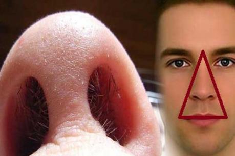 Dừng ngay việc nhổ lông mũi vì lý do quan trọng tới tính mạng