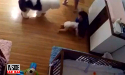 Clip anh 9 tuổi cứu em trai 11 tháng tuổi trong tích tắc 'gây bão' mạng