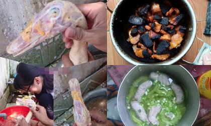 Chuyện những cô nàng vụng về nhất Vịnh Bắc Bộ