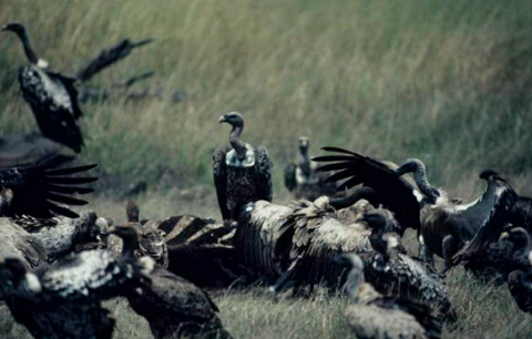 12 điều kinh khủng sẽ xảy ra nếu Mặt trời biến mất