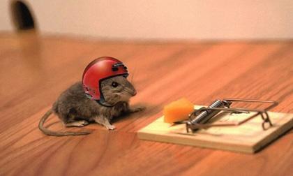 9 sai lầm 'điên rồ' mà khoa học từng công nhận nó là đúng