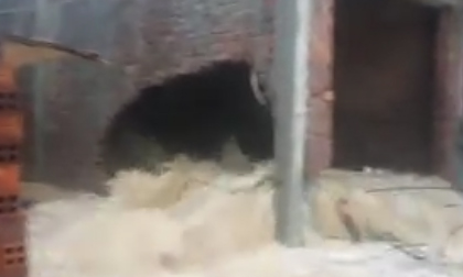 Nước lũ kinh hoàng 'đâm' thủng tường nhà ở Nha Trang