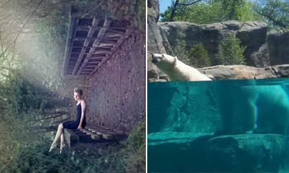 Những bức ảnh 'hại não' phải nhìn ít nhất 2 lần mới hiểu vì sao