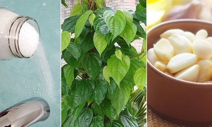 Tổng hợp những cách chữa vùng kín viêm nhiễm, có mùi không cần thuốc