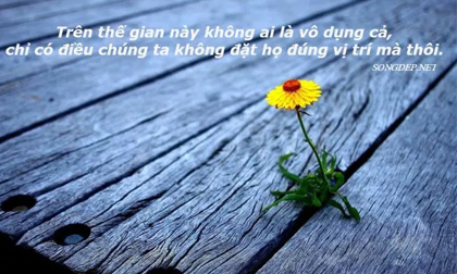 Trên đời này không có ai là vô dụng! Câu chuyện ý nghĩa cho tất cả mọi người