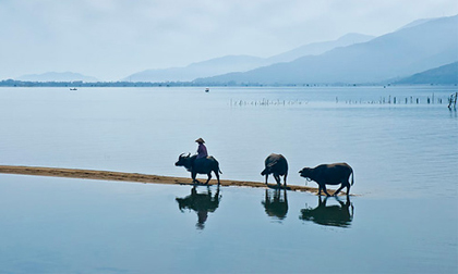 Việt Nam đẹp đến nao lòng qua ống kính nhiếp ảnh gia quốc tế
